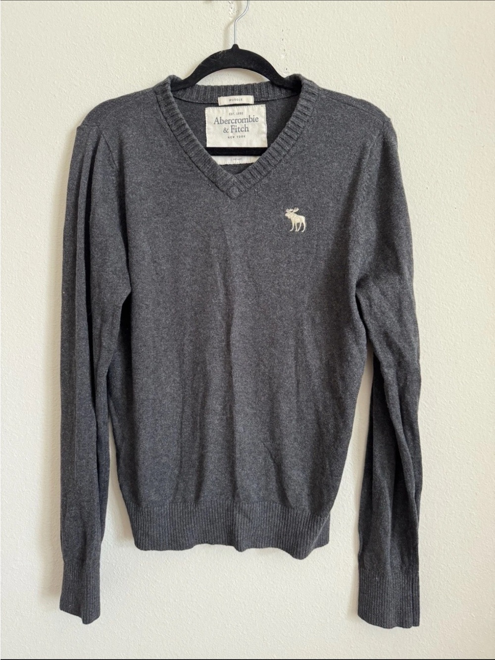 Y2K Abercrombie & Fitch Gray Men’s V Neck Wool Cashmere Pullover Knit Sweater L
